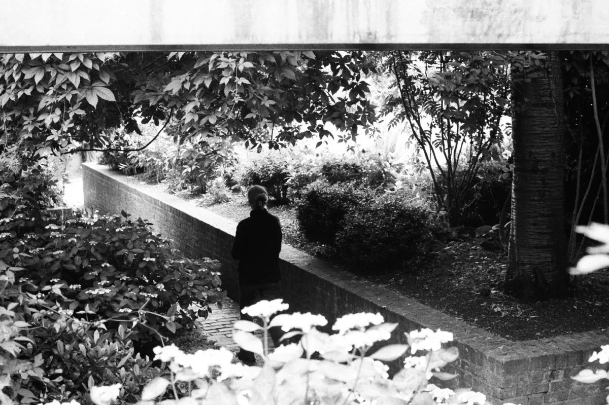 Stranger Dublin castle gardens