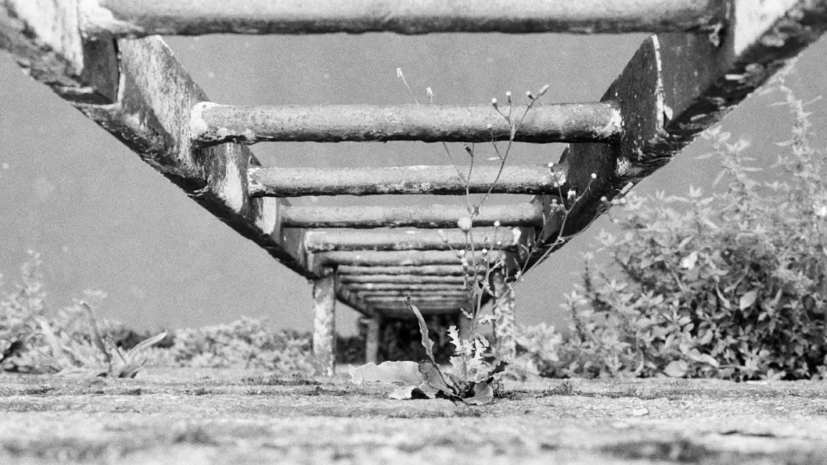 Ladder River Liffey