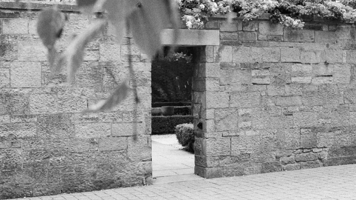 Portal Dublin castle gardens